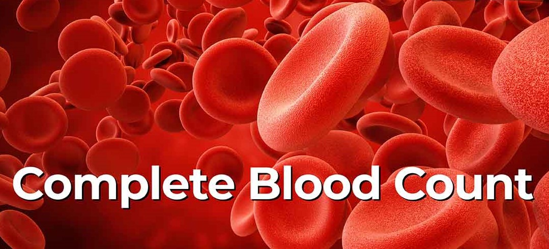 Complete Blood Count (CBC): What It Reveals About Your Health