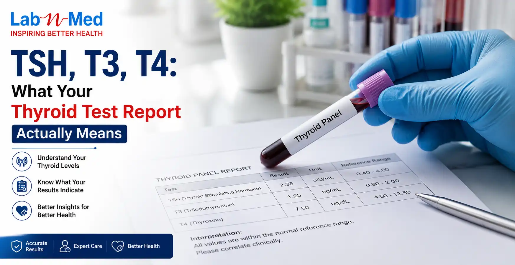 TSH, T3, T4: What Your Thyroid Test Report Actually Means