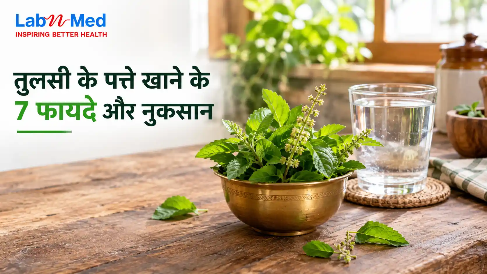 Tulsi ke fayde: तुलसी के पत्ते खाने के 7 फायदे और नुकसान, जानिए सही तरीका